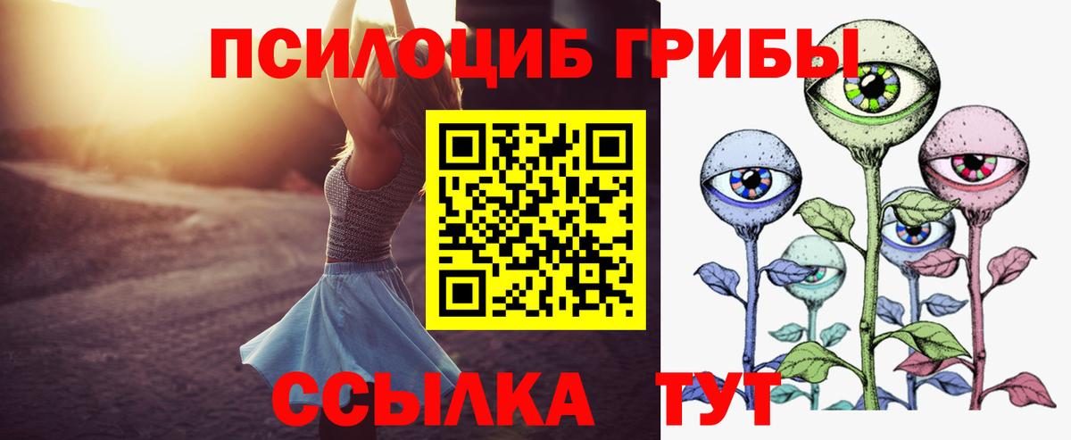 Псилоцибиновые грибы Psilocybe  Вход с VPN  Люберцы 
